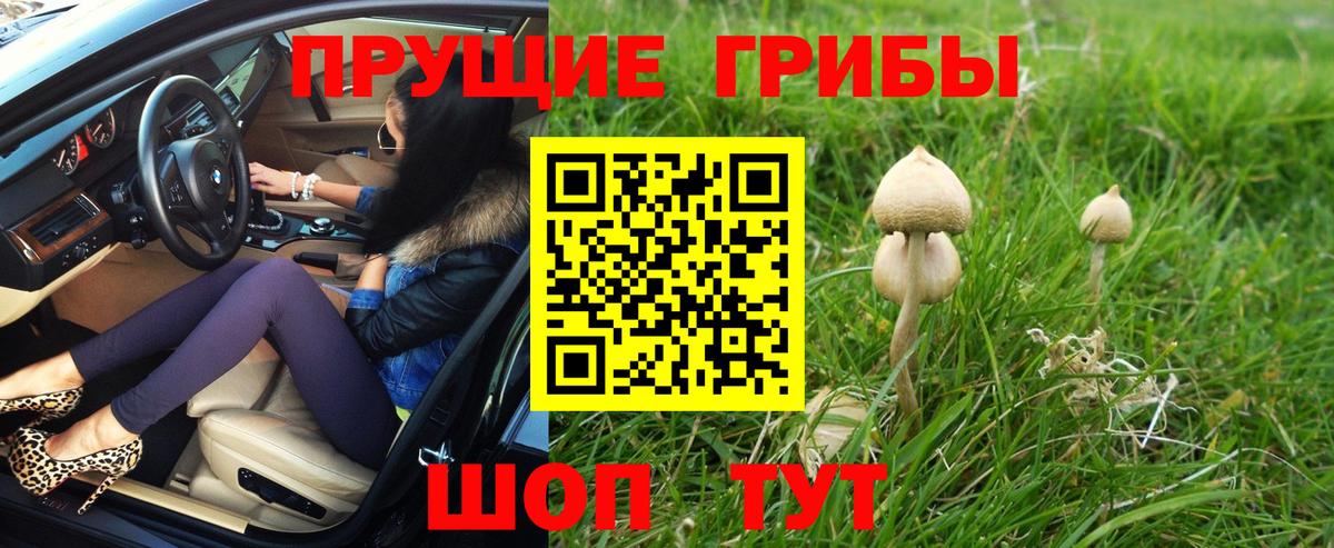 Светлоград  Псилоцибиновые грибы ЛСД  Галлюциногенные грибы Psilocybine cubensis  Вход с VPN 